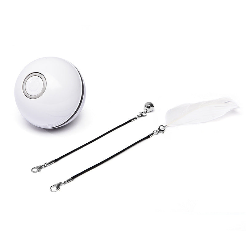 CalmCat™ LaserPlay Rolling Toy Ball