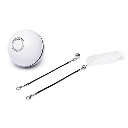 CalmCat™ LaserPlay Rolling Toy Ball