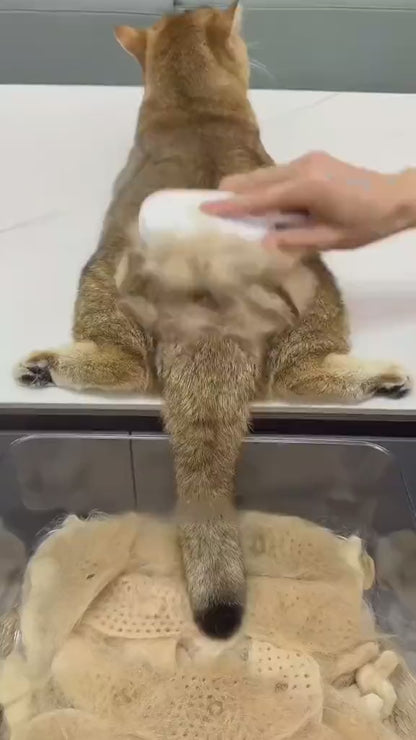 CalmCat™ 3-in-1 Steam Grooming Brush